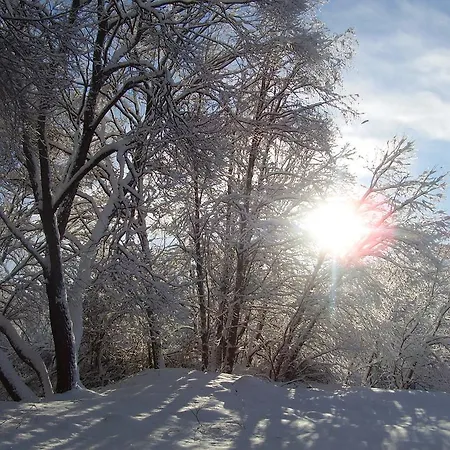 Privat Erika * Liptovský Ján